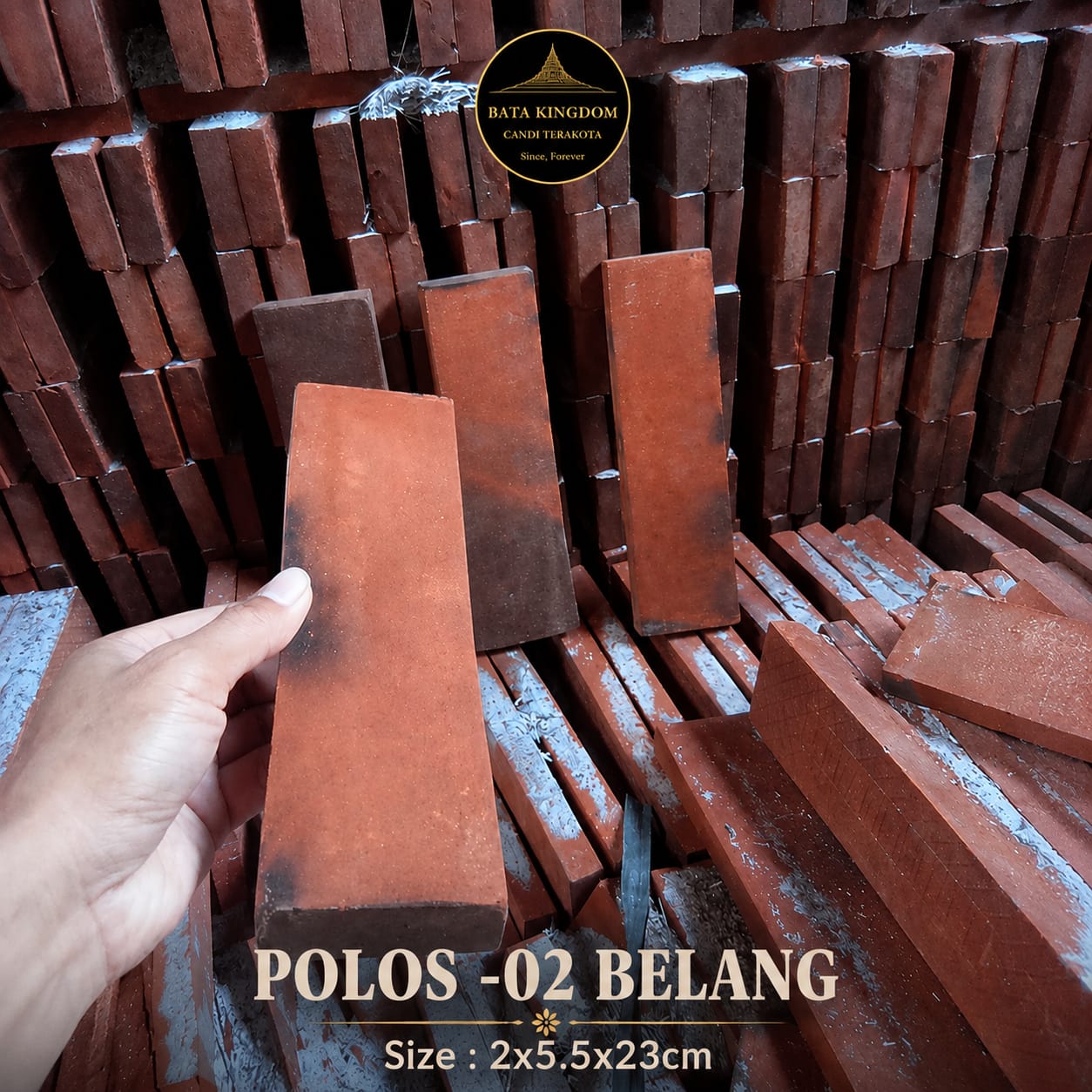 Polos-02 Belang
