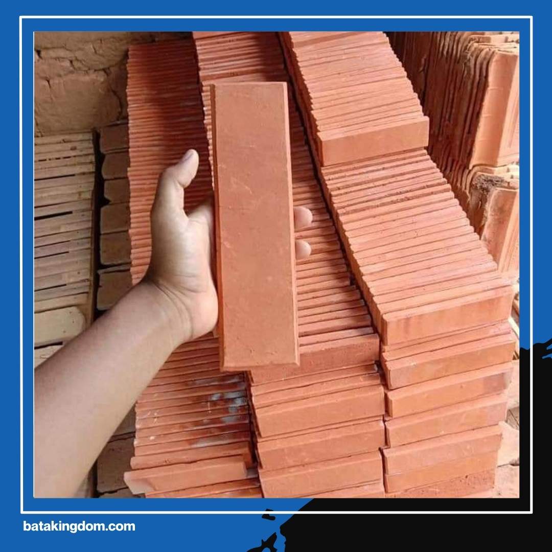 Jangan Asal Pilih Material Rumah! Kenapa Arsitek Senior Selalu Merekomendasikan Bata Pres Temanggung